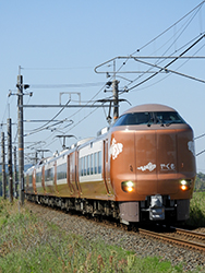 273